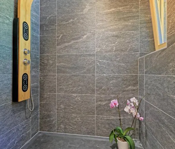 Au Bivouac De Napoléon Et 3*