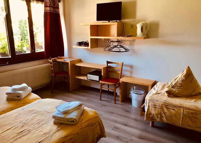 Hotel Au Bivouac De Napoléon Et Bourg-Saint-Pierre