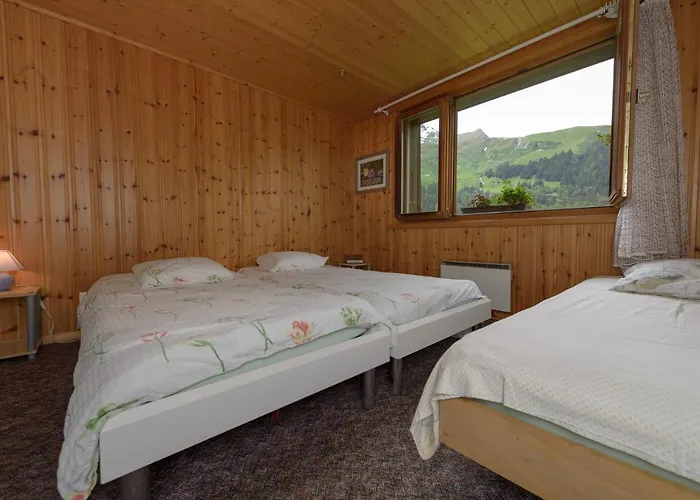 Au Bivouac De Napoléon Et