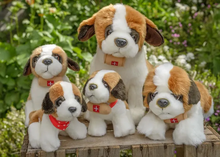 Ξενοδοχείο Au Bivouac De Napoleon Et Bourg-Saint-Pierre